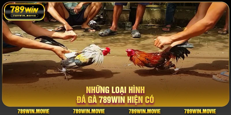 Đá Gà 789Win | Đấu Trường Gà Chơi Kịch Tính Nhất 2025 3 Những loại hình đá gà 789WIN hiện có