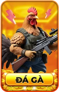 789WIN 14 đá gà 789win